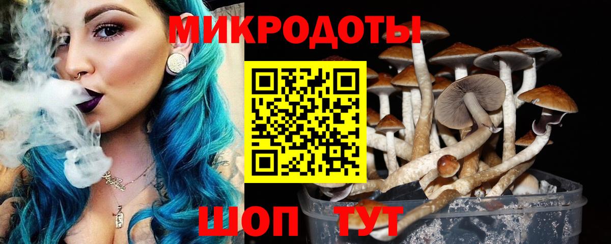 Губкин  Псилоцибиновые грибы GOLDEN TEACHER  Галлюциногенные грибы Psilocybe  где продают наркотики  Вход с VPN 