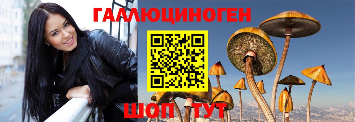 Псилоцибиновые грибы мухоморы Губкин